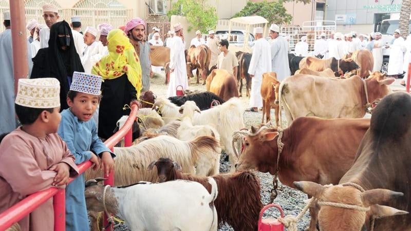 Sindbad Room غرفة السندباد Nizwa Zewnętrze zdjęcie